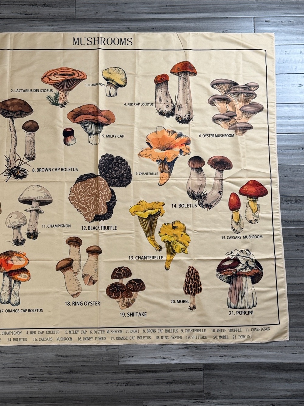 MUSHROOM BOTANICAL FABRIC WALL HANGING 58.5” x 50” COTTAGECORE FUNGI - Picture 4 of 11